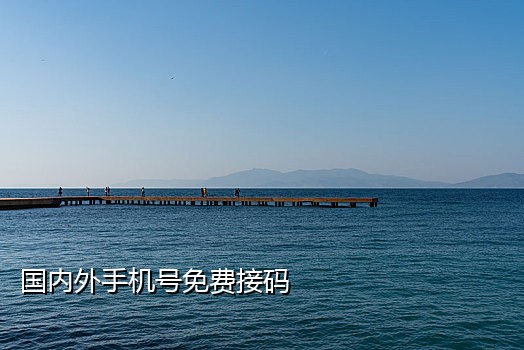 美国手机号接码