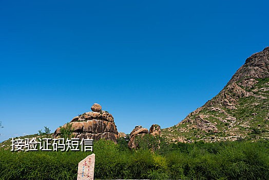 美国全新接码手机号