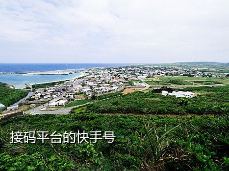 抖音接码注册平台有哪些