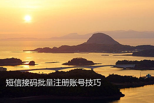 蚂蚁验证码接码短信平台