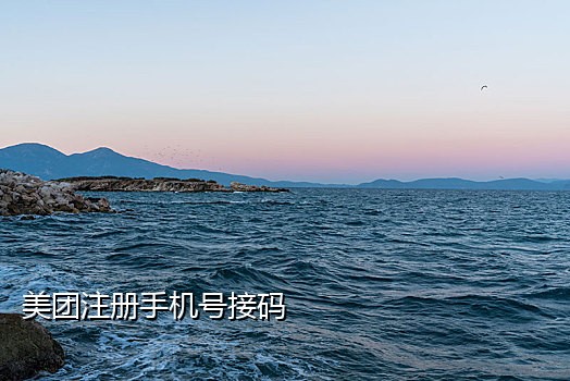 快手极速版批量接码