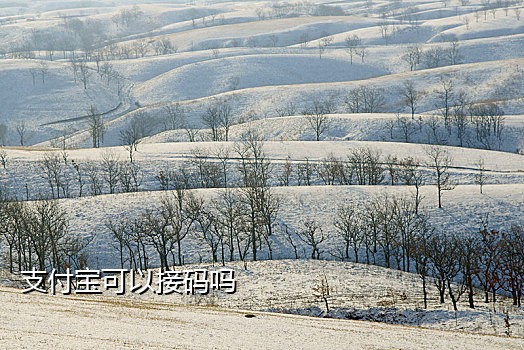 空号手机接码平台下载