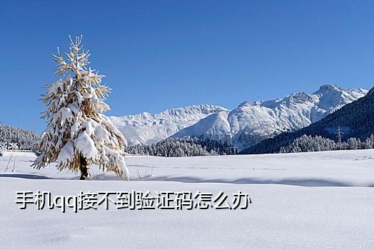 京东接码是干啥的