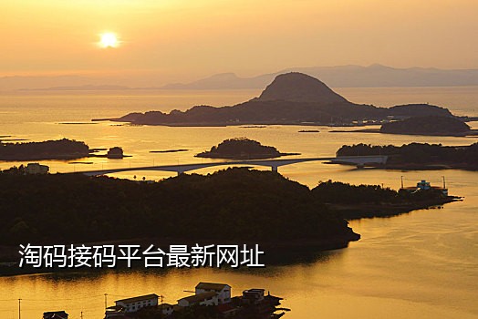 抖音接码哪个好