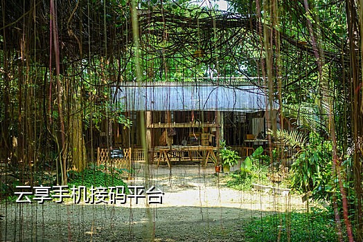 近期手机店接码违法