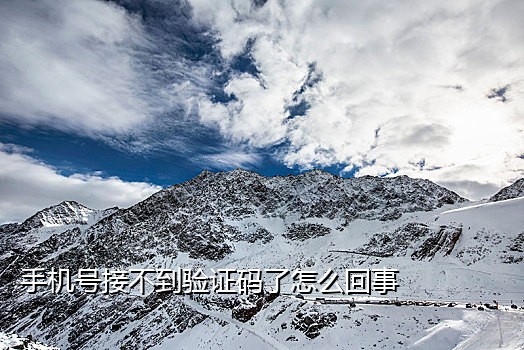 接淘宝验证码平台哪个好