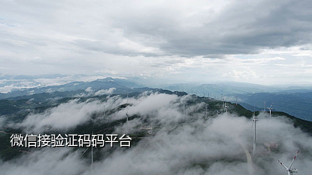 接收短信接码平台