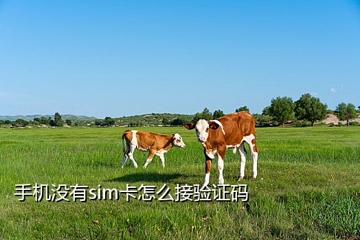 接码专用手机吗