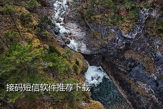 接码平台怎么弄饿了么