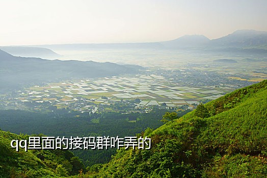 接码平台发短信怎么发