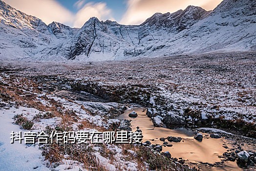 抖音接码 渠道在哪里