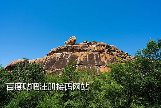 接码平台都是用过的手机号