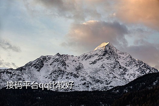 接大陆短信验证码的平台