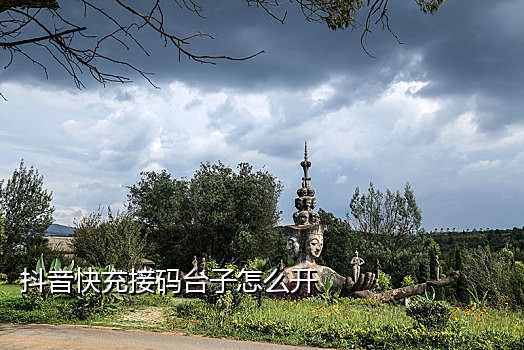 交易猫接码