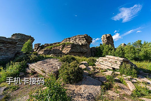 江苏手机卡接码