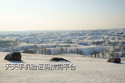 号码短租手机接码