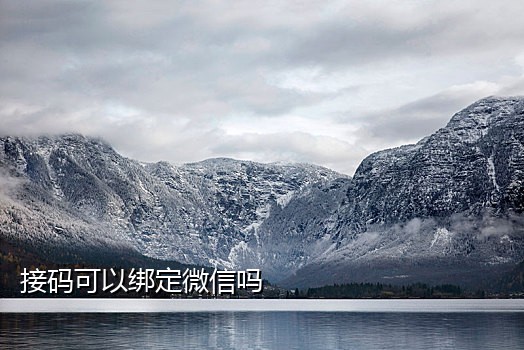 海外短信接码平台