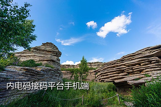 国内短信接码验证码平台免费