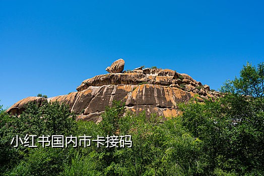 风火云接码手机app