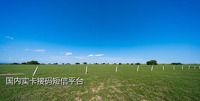 饿了么接码平台视频教程