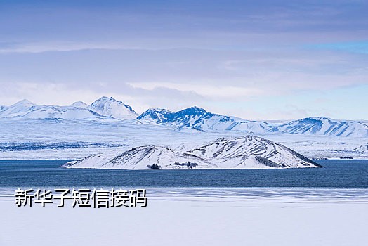 电信不用手机接短信验证码