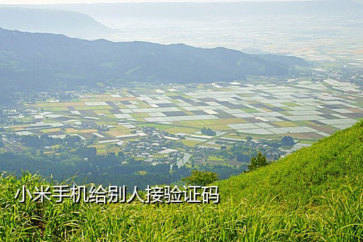 短信接码注册机软件哪个好
