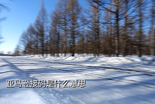 短信接码怎么做出来图片