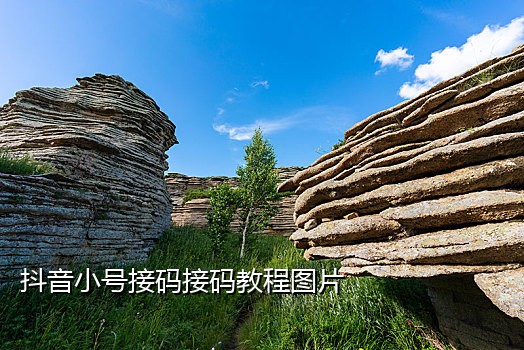 短信接码收费平台有哪些