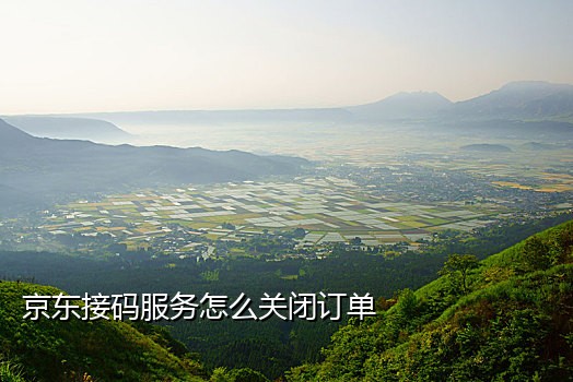 短信接码啥意思啊