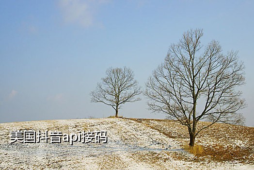 短信接码软件哪个好用免费
