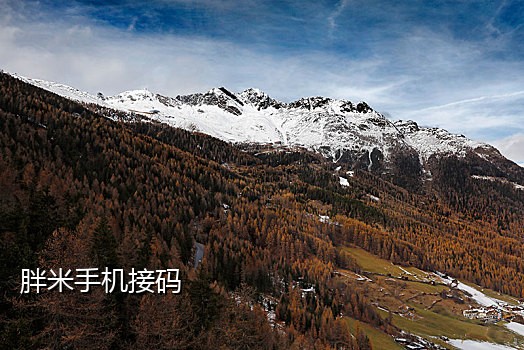 短信接码平台还有能用的吗