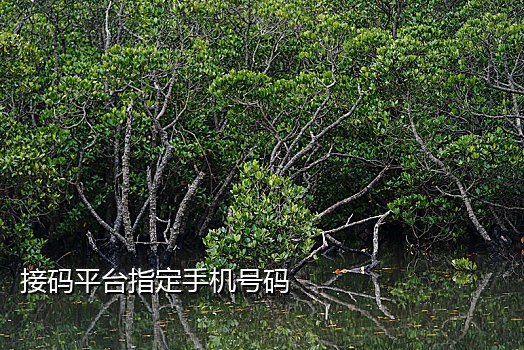 短信接码平台分享