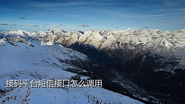 短信接码免费软件哪个好
