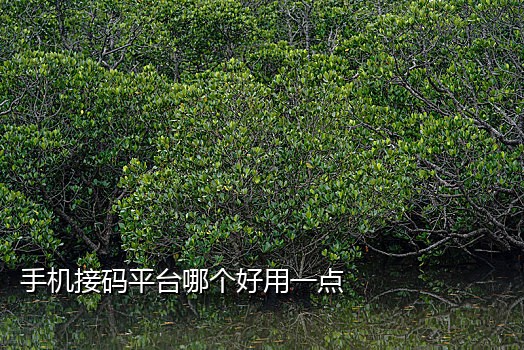 短信接码米云接码平台