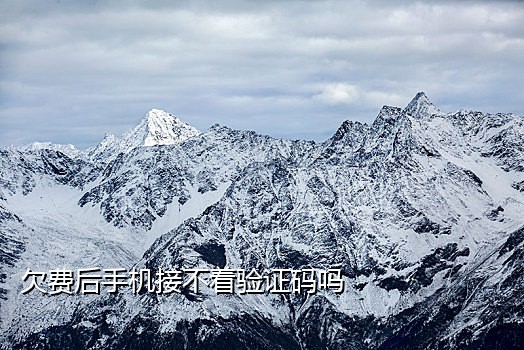 短信接码2022可用