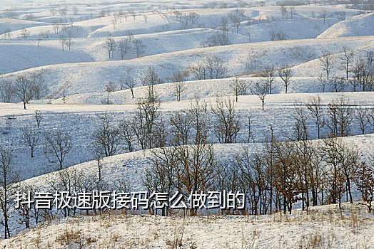 短信代接码