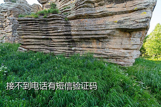 滴滴出行手机号接码平台