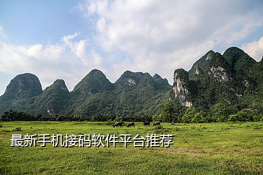 微信接码平台手机版