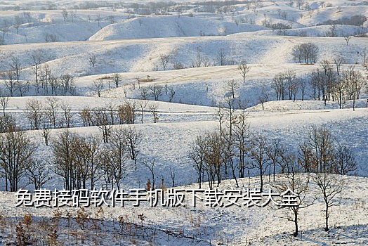 微信接码平台是什么意思