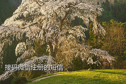 出售短信接码犯罪么