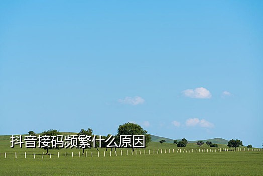 2017手机验证接码