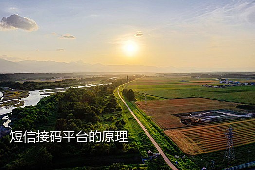 最新接码平台苹果版