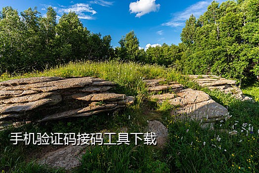 自己的手机号接码平台