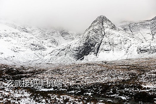 在线接码手机号