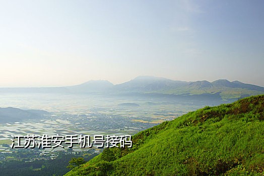 有没有稳定手机接码app