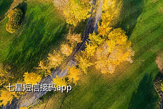 移动接验证码买手机