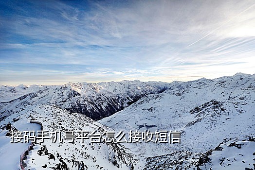 椰子接码短信验证码平台冲值