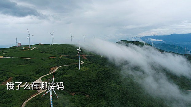 百度在线接码