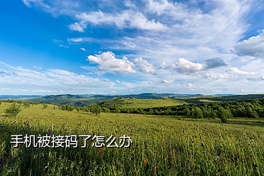 百度云网盘接码平台