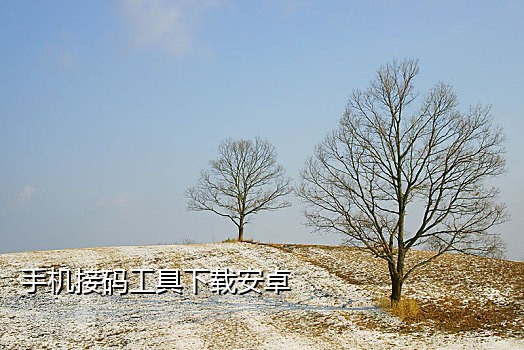 虚拟国际电话在线接码